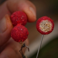 Fjuka Carp Fish Accelerant Wrapped Hookbaits 15mm